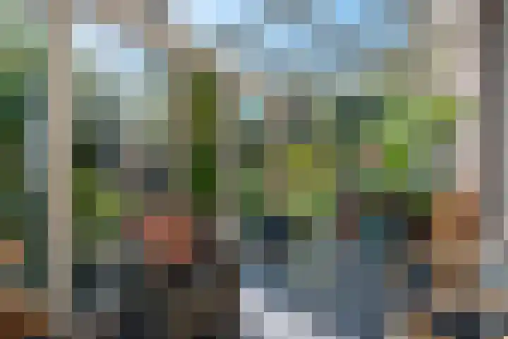 Laan van de Geallieerden 15 Arnhem thumbnail 14