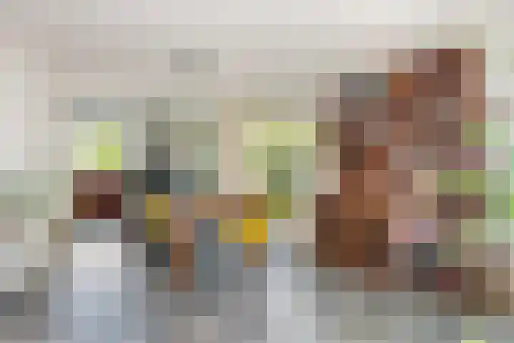 Laan van de Geallieerden 15 Arnhem thumbnail 17