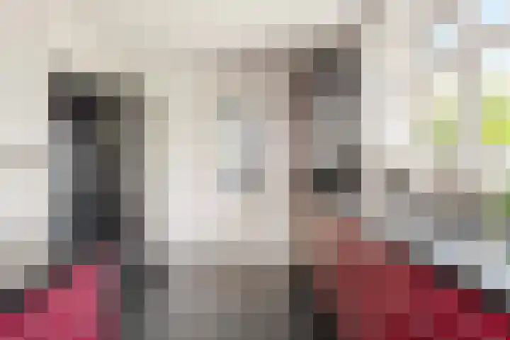 Laan van de Geallieerden 15 Arnhem thumbnail 20