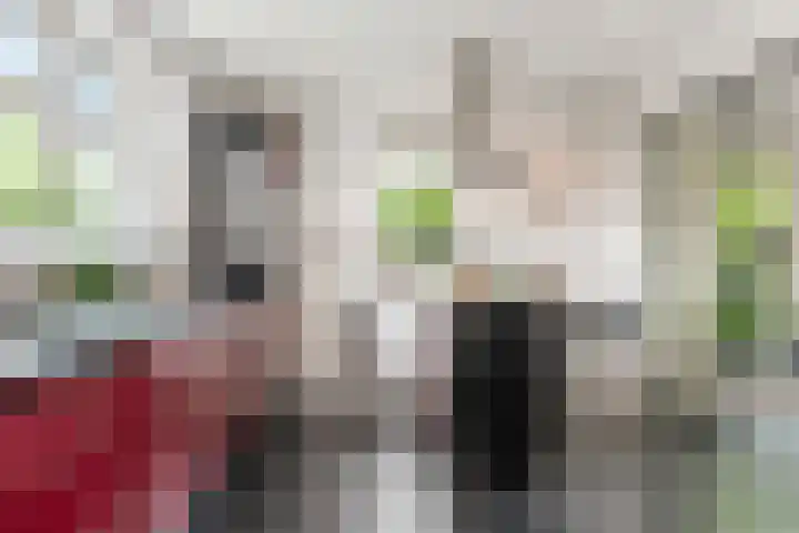 Laan van de Geallieerden 15 Arnhem thumbnail 22