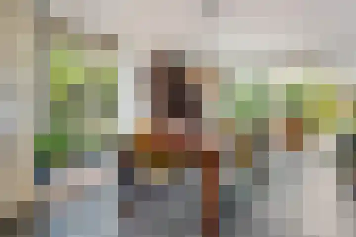Laan van de Geallieerden 15 Arnhem thumbnail 24