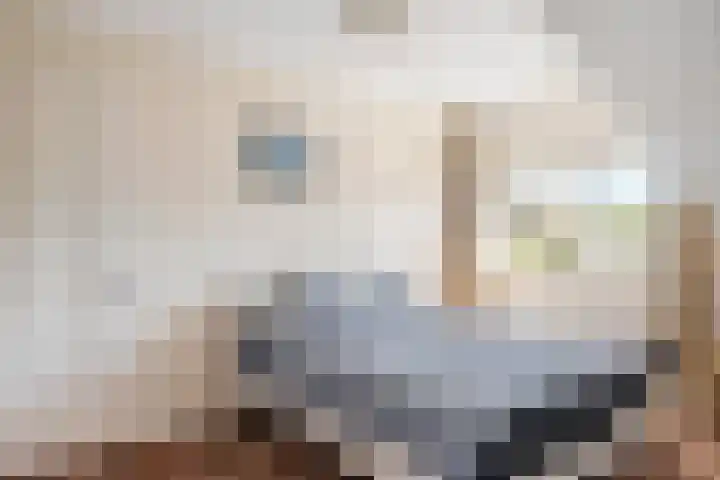 Laan van de Geallieerden 15 Arnhem thumbnail 30