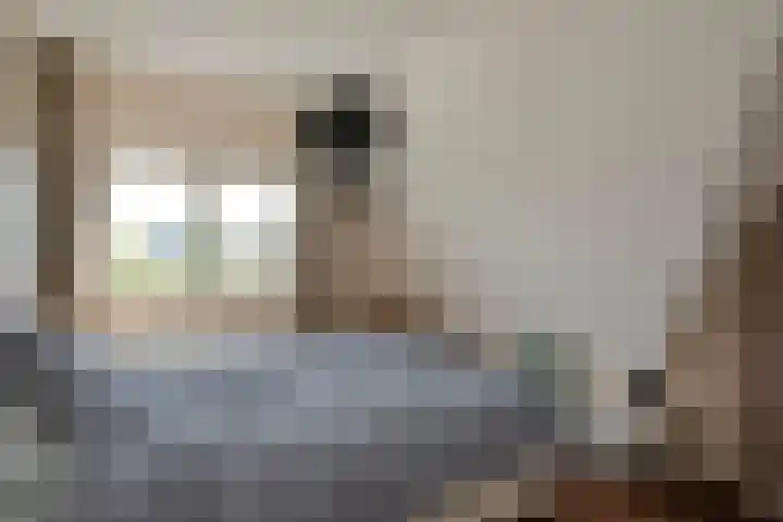Laan van de Geallieerden 15 Arnhem thumbnail 31