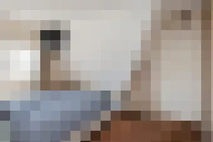 Laan van de Geallieerden 15 Arnhem thumbnail 32