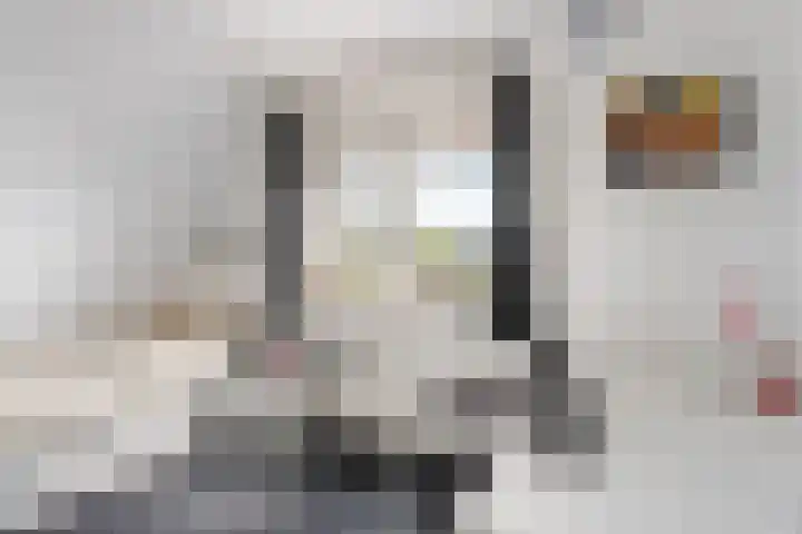 Laan van de Geallieerden 15 Arnhem thumbnail 34