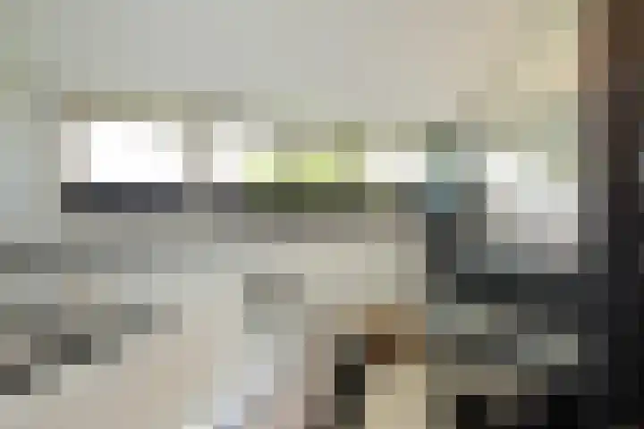Laan van de Geallieerden 15 Arnhem thumbnail 40