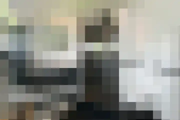 Laan van de Geallieerden 15 Arnhem thumbnail 42