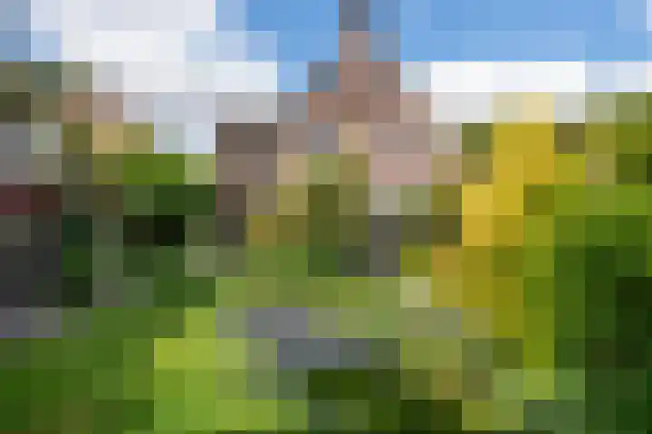 Laan van de Geallieerden 15 Arnhem thumbnail 47