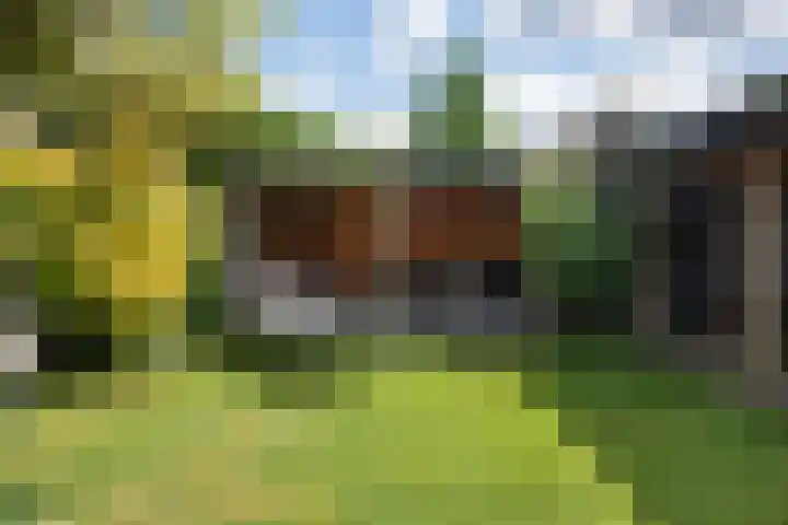 Laan van de Geallieerden 15 Arnhem thumbnail 48