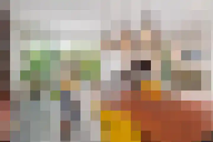 Laan van de Geallieerden 15 Arnhem thumbnail 5