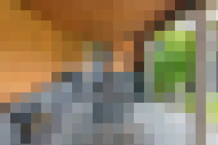Laan van de Geallieerden 15 Arnhem thumbnail 50