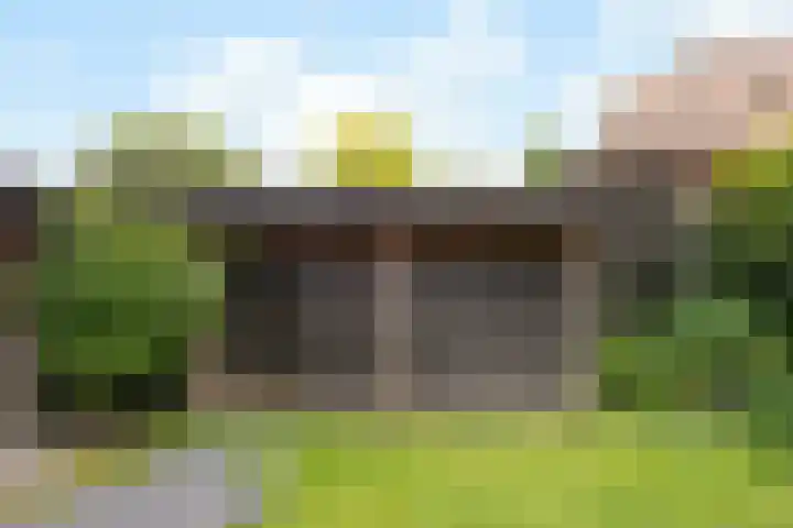 Laan van de Geallieerden 15 Arnhem thumbnail 51