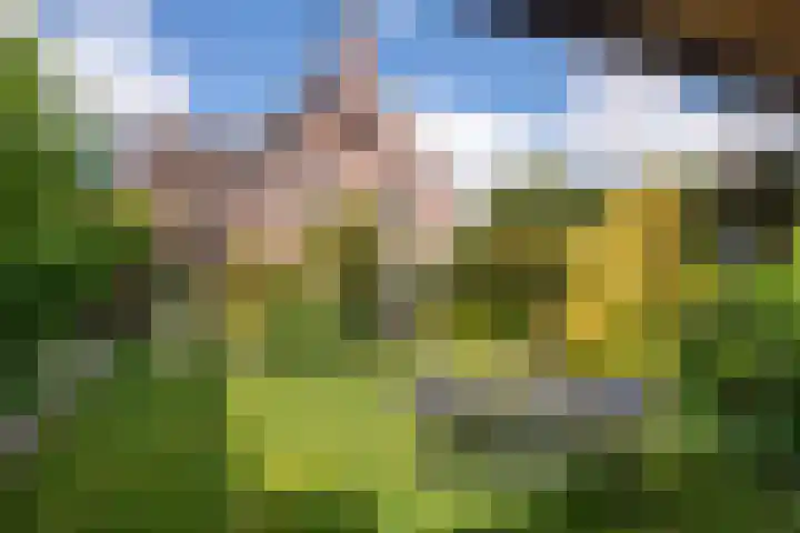 Laan van de Geallieerden 15 Arnhem thumbnail 52