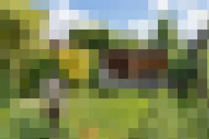 Laan van de Geallieerden 15 Arnhem thumbnail 53
