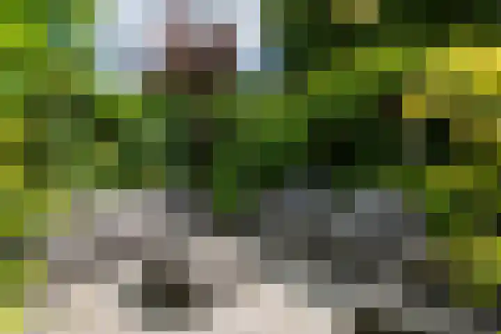 Laan van de Geallieerden 15 Arnhem thumbnail 55
