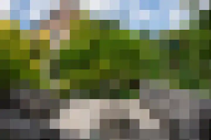 Laan van de Geallieerden 15 Arnhem thumbnail 56