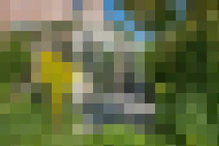 Laan van de Geallieerden 15 Arnhem thumbnail 58