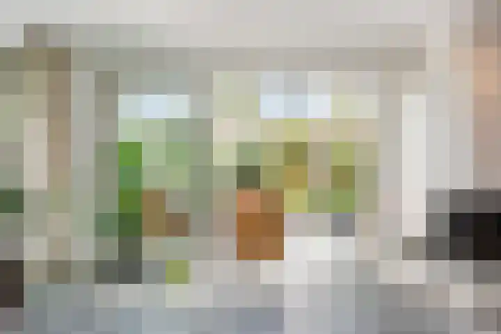 Laan van de Geallieerden 15 Arnhem thumbnail 6