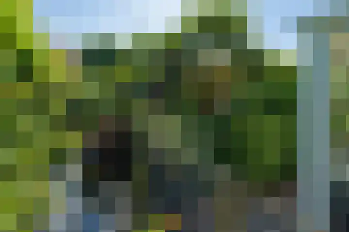 Laan van de Geallieerden 15 Arnhem thumbnail 61