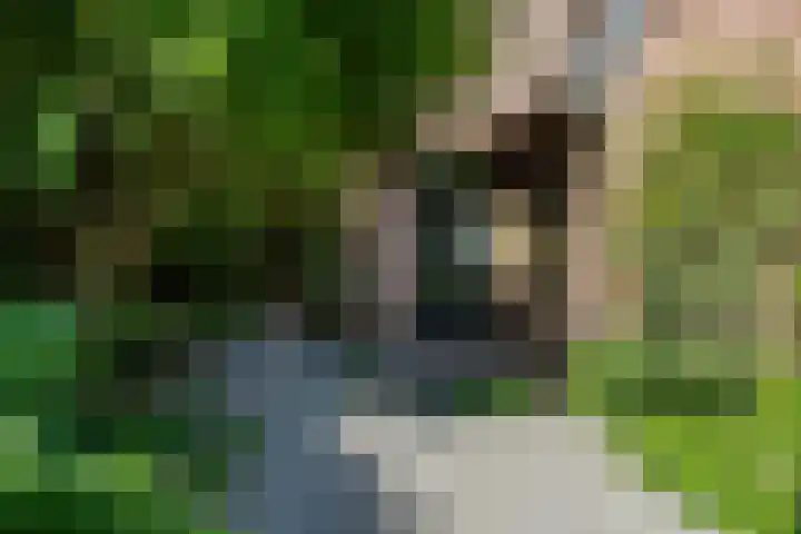 Laan van de Geallieerden 15 Arnhem thumbnail 62