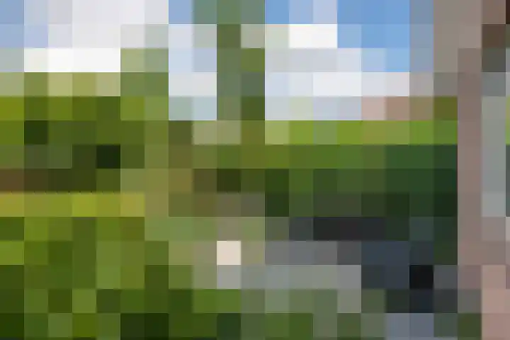 Laan van de Geallieerden 15 Arnhem thumbnail 63