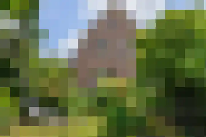 Laan van de Geallieerden 15 Arnhem thumbnail 64