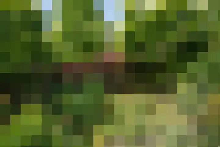 Laan van de Geallieerden 15 Arnhem thumbnail 66