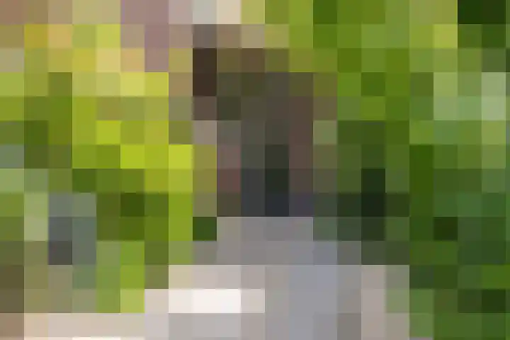 Laan van de Geallieerden 15 Arnhem thumbnail 68