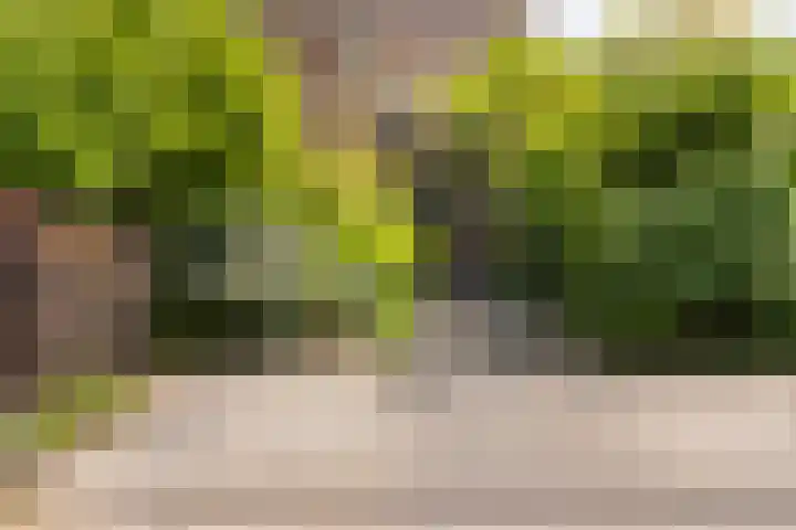 Laan van de Geallieerden 15 Arnhem thumbnail 69