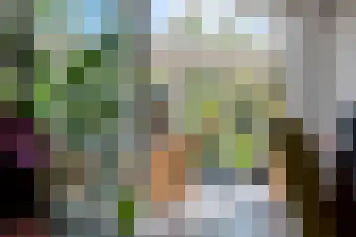 Laan van de Geallieerden 15 Arnhem thumbnail 7