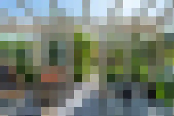 Laan van de Geallieerden 15 Arnhem thumbnail 8
