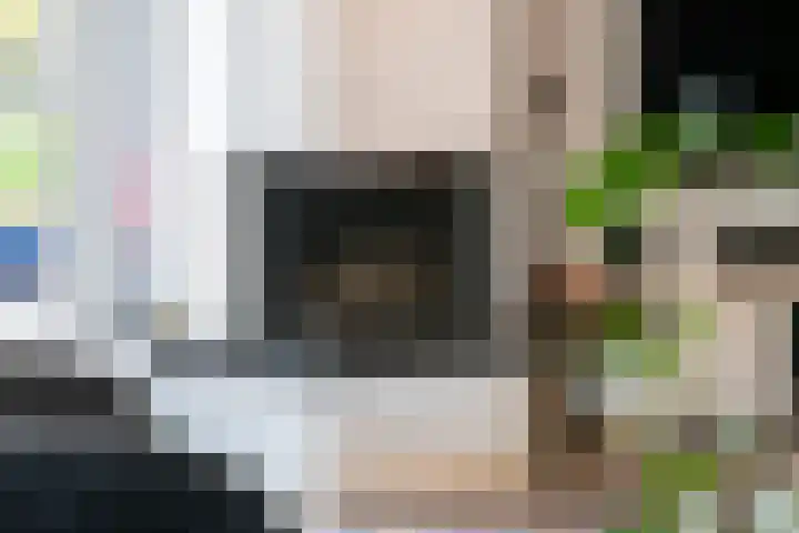 Laan van de Geallieerden 15 Arnhem thumbnail 9