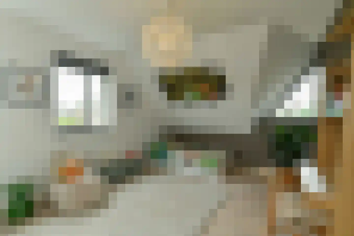 Laan van de Geallieerden 4 Arnhem thumbnail 23