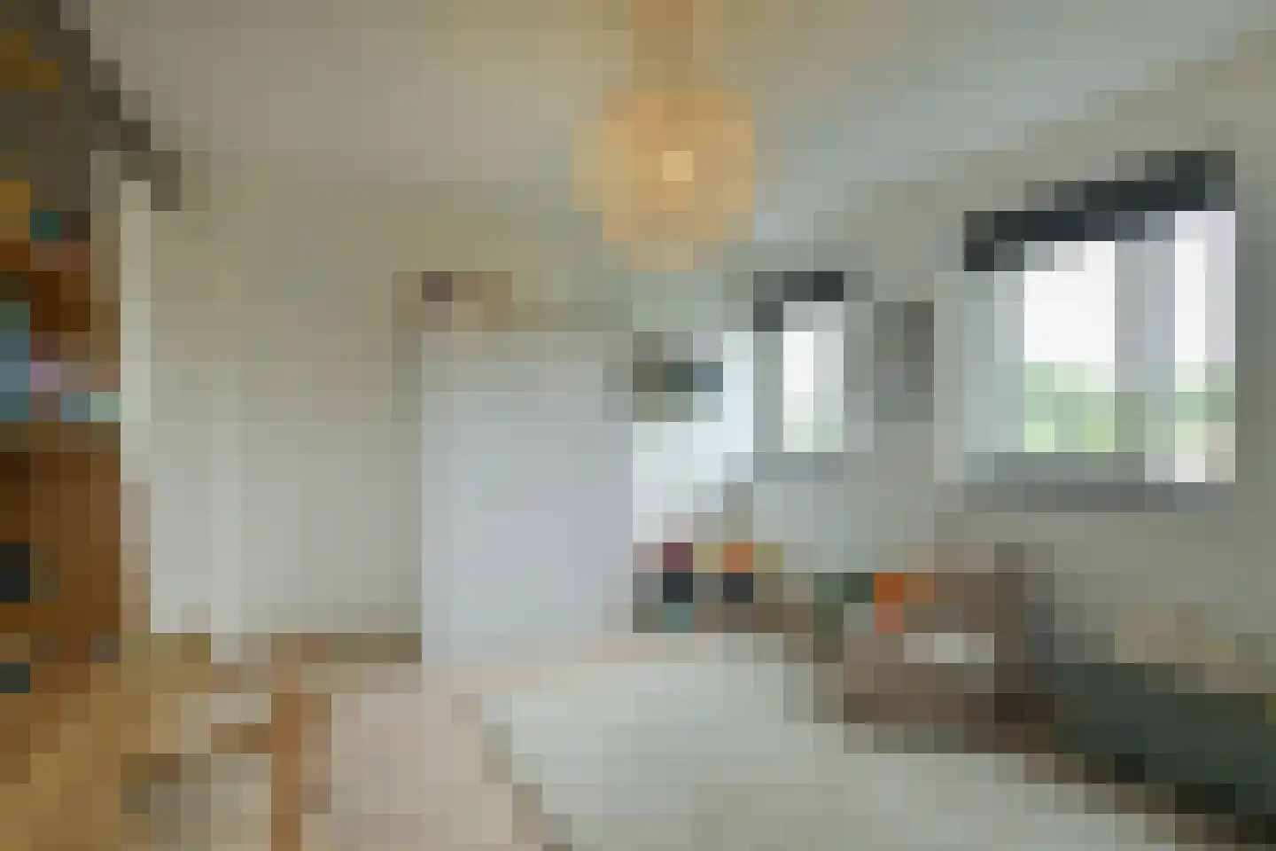 Laan van de Geallieerden 4 Arnhem thumbnail 24