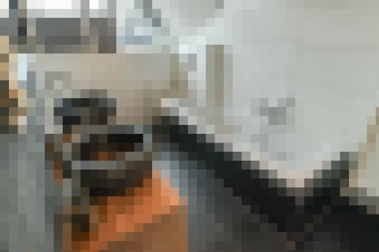 Laan van de Geallieerden 4 Arnhem thumbnail 29