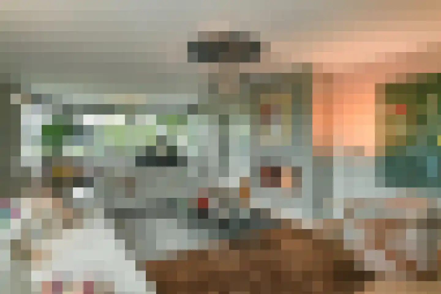 Laan van de Geallieerden 4 Arnhem thumbnail 4