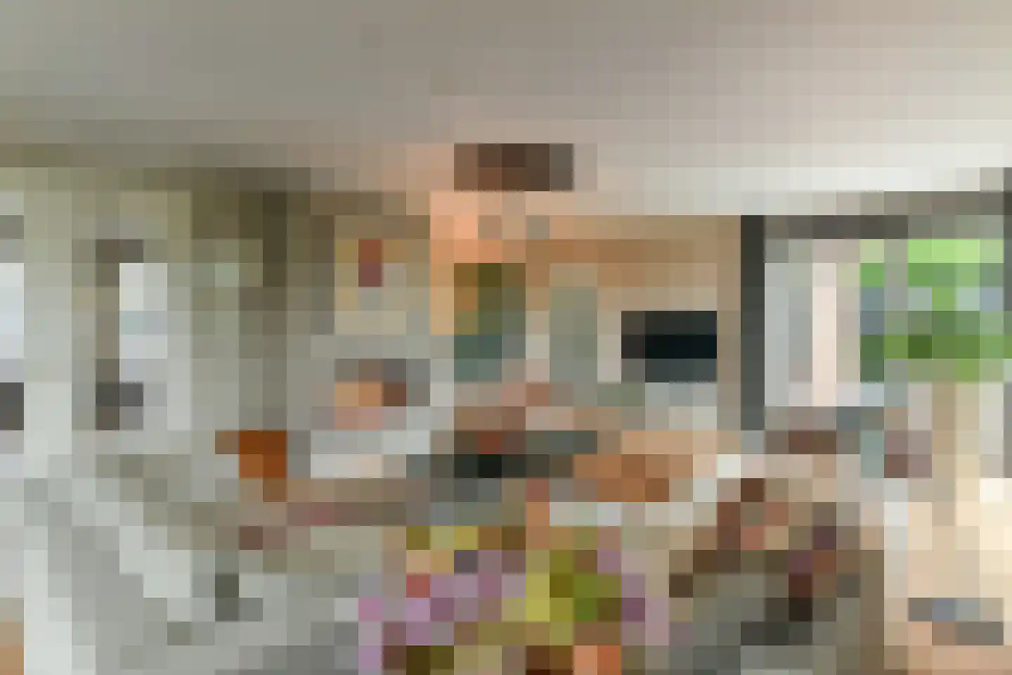 Laan van de Geallieerden 4 Arnhem thumbnail 6