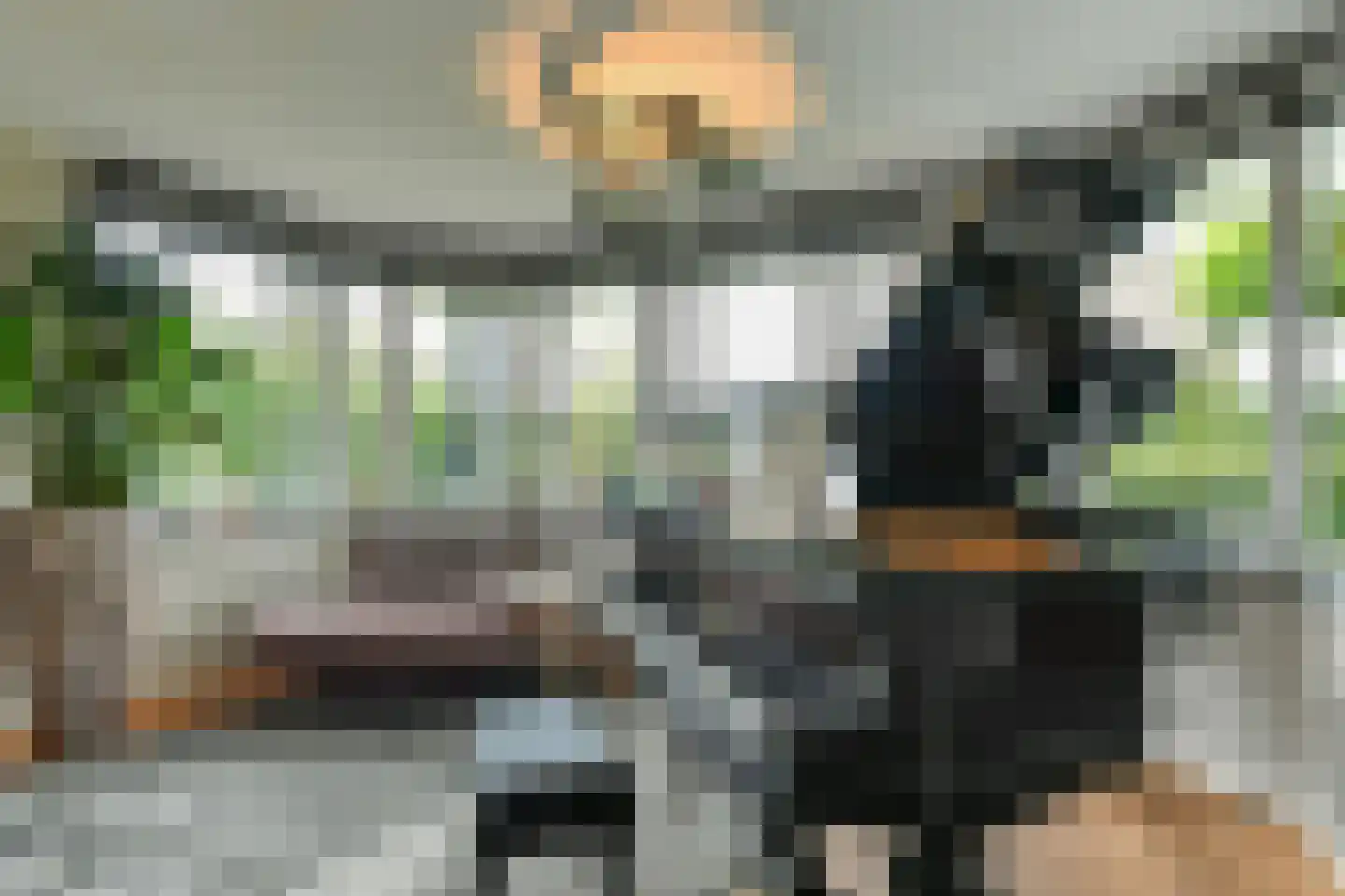 Laan van de Geallieerden 4 Arnhem thumbnail 7