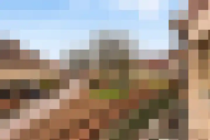 Laan van de Heelmeesters 29 Hilversum thumbnail 13