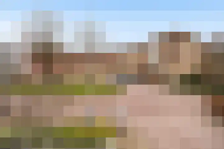 Laan van de Heelmeesters 29 Hilversum thumbnail 21