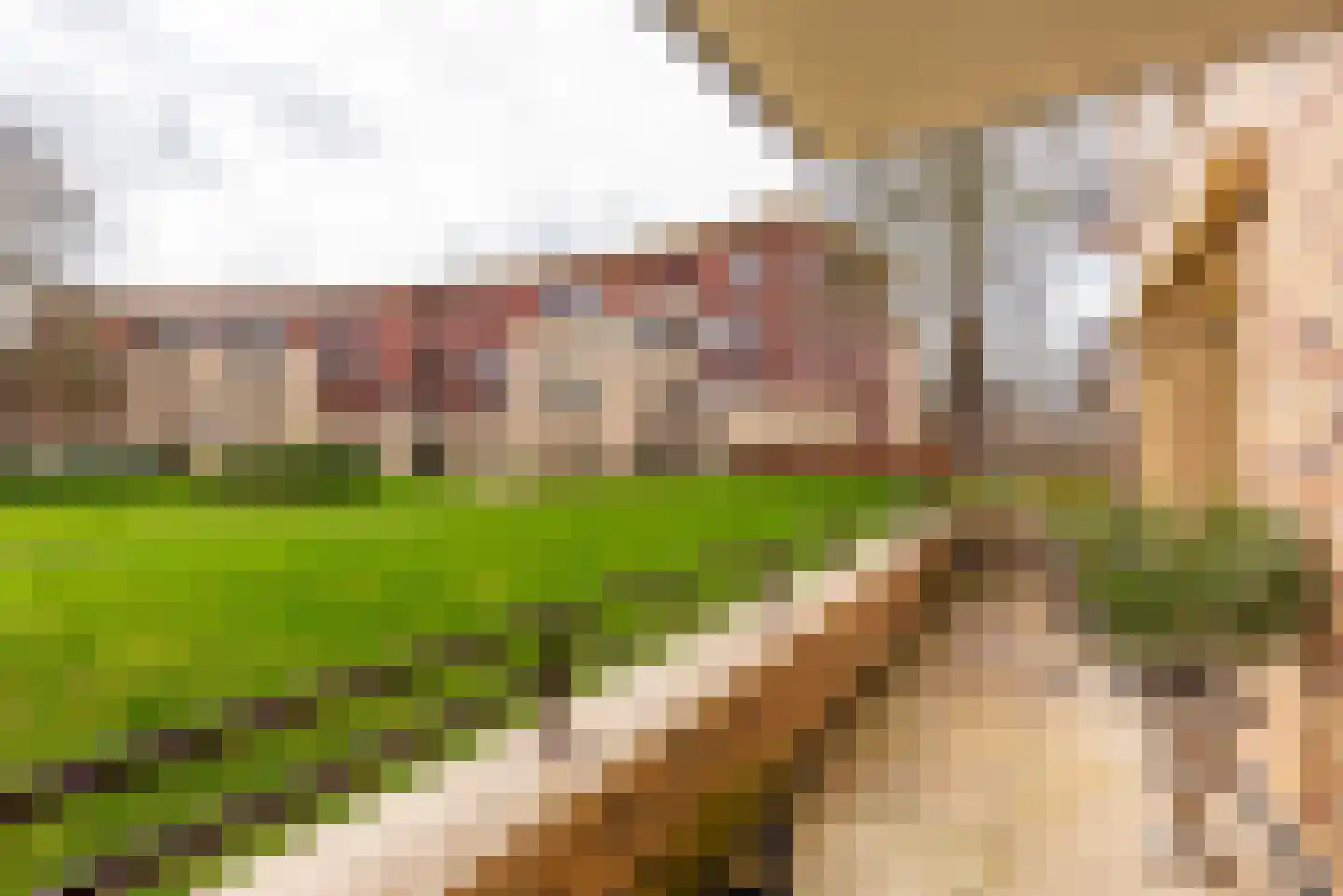 Laan van de Heelmeesters 3 Hilversum thumbnail 17