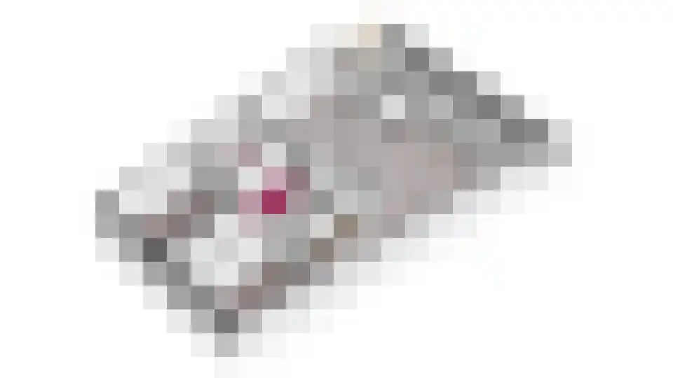 Laan van de Heelmeesters 3 Hilversum thumbnail 35