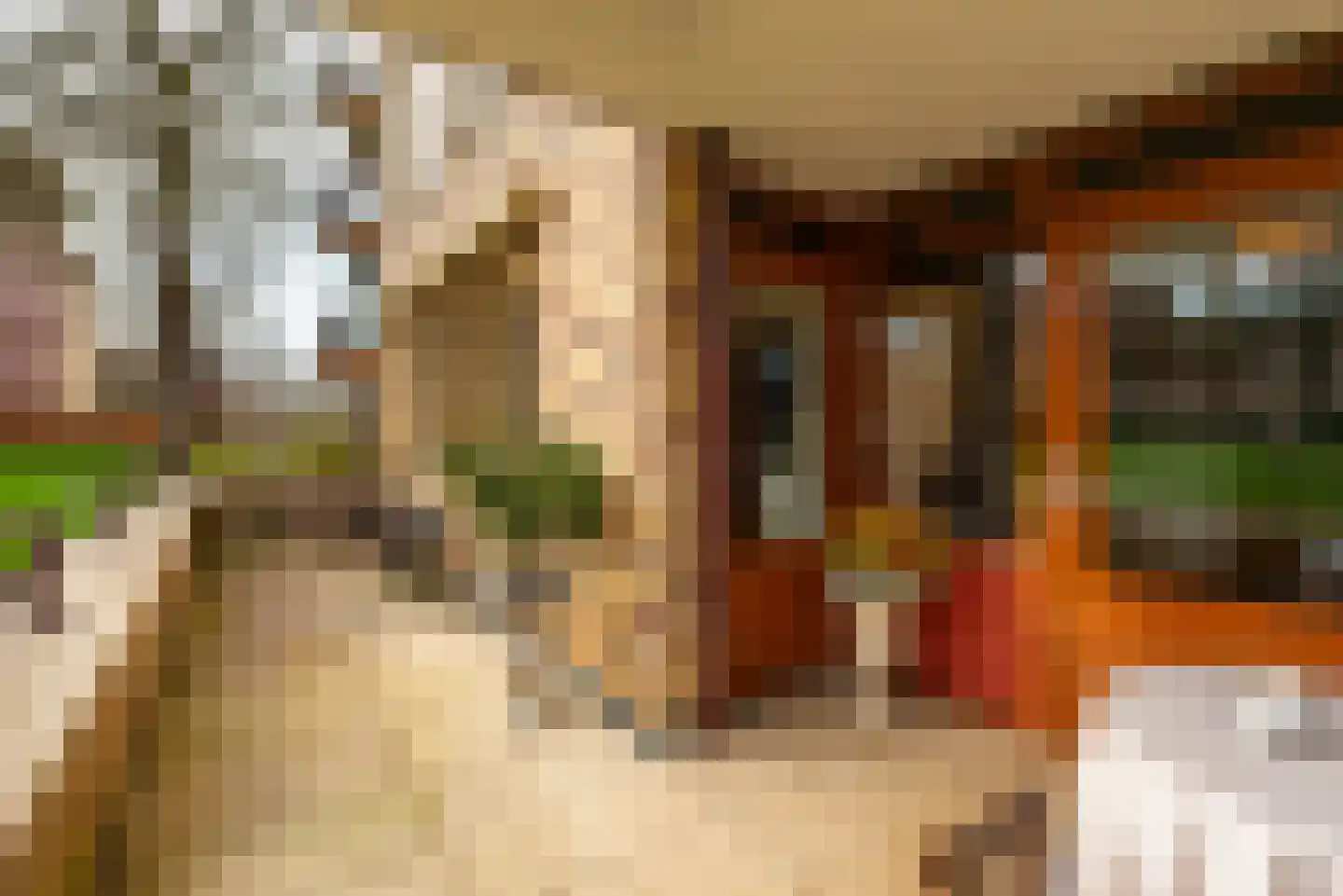 Laan van de Heelmeesters 3 Hilversum thumbnail 4
