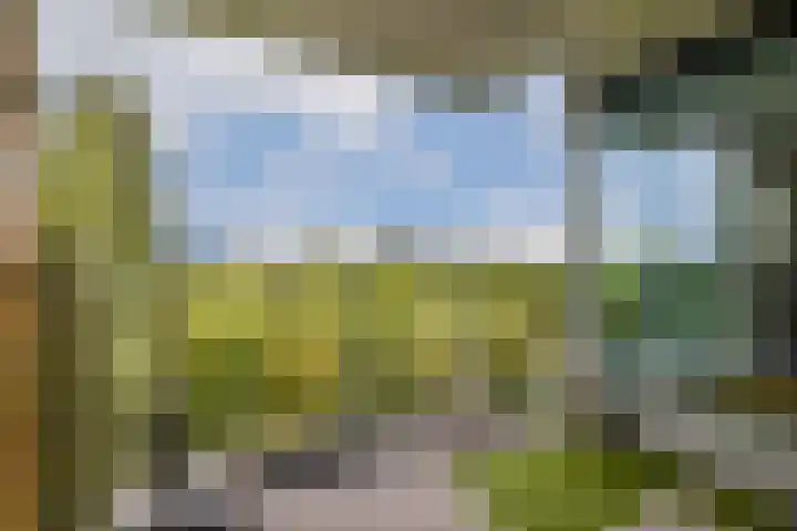 Laan van de Helende Meesters 378 Amstelveen thumbnail 13