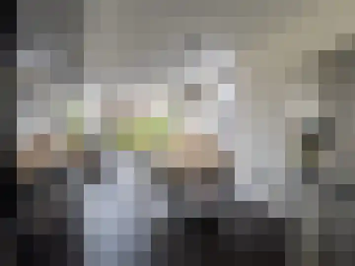 Laan van de Highlanders 17 Zutphen thumbnail 14