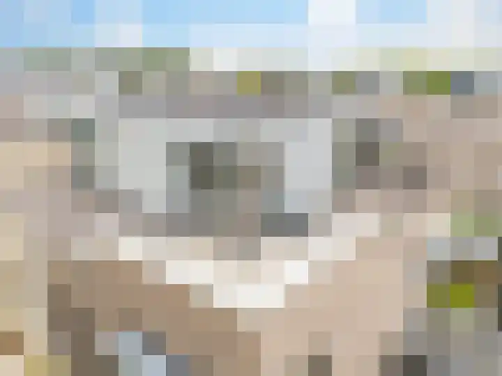 Laan van de Highlanders 17 Zutphen thumbnail 34