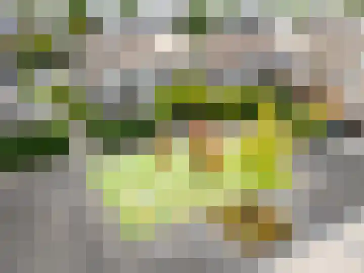 Laan van de Highlanders 17 Zutphen thumbnail 40