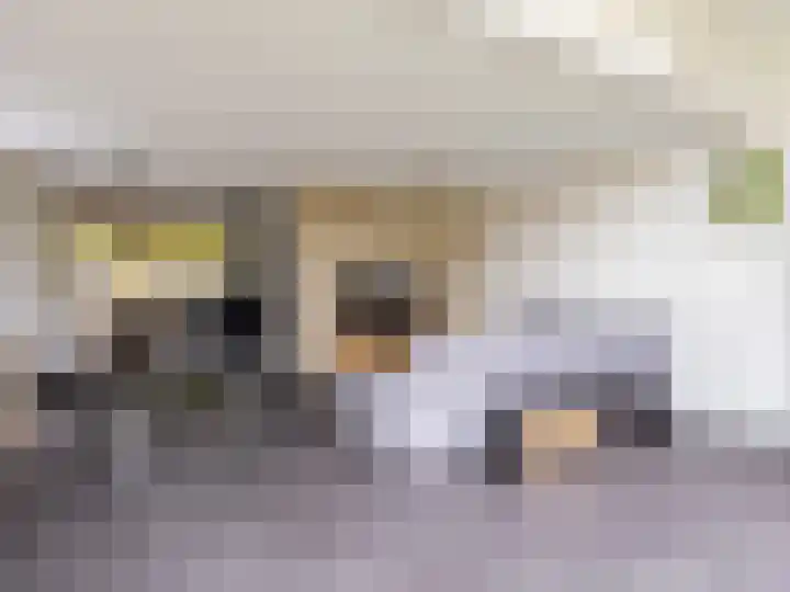 Laan van de Highlanders 17 Zutphen thumbnail 6