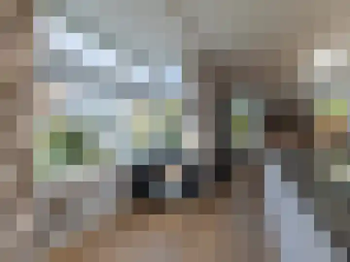 Laan van de Highlanders 2 Zutphen thumbnail 12
