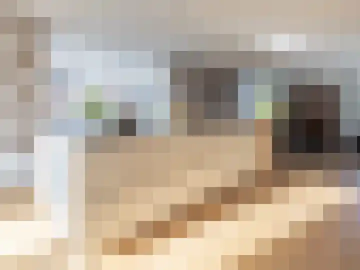 Laan van de Highlanders 2 Zutphen thumbnail 15